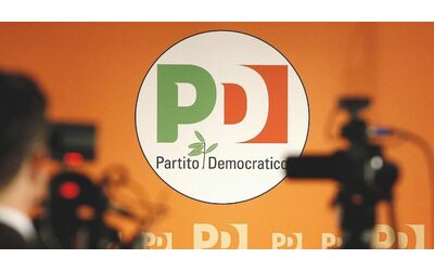 Europee, comitati anti-inceneritore contro la candidata Pd in Friuli: “Difendeva Kronospan contro di noi”. Lei: “Feci solo una consulenza”