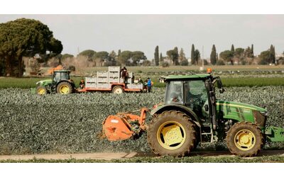 Il Parlamento Ue modifica la Politica agricola: più deroghe e meno controlli. Ambientalisti:...