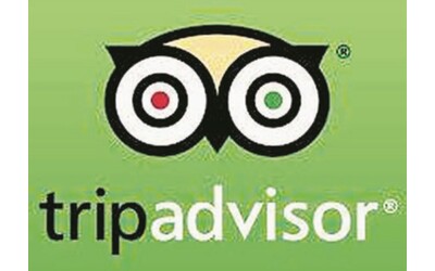 Tripadvisor Best of the Best la classifica mondiale delle esperienze dei viaggiatori una sorpresa in vetta tra milioni di recensioni