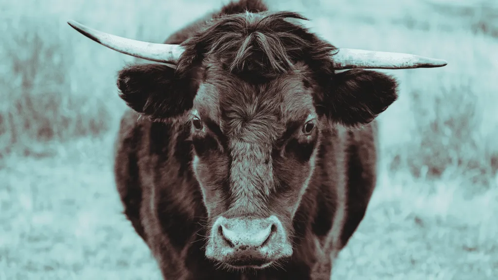Le 3 teorie più bullish per il futuro di Bitcoin e crypto: grandi istituzioni, ma anche binari e…