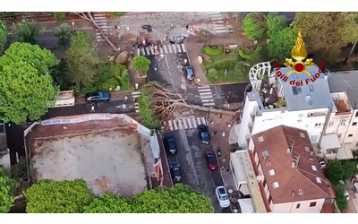 Alberi abbattuti e allagamenti piogge intense e raffiche di vento nella riviera Romagnola le immagini dall alto