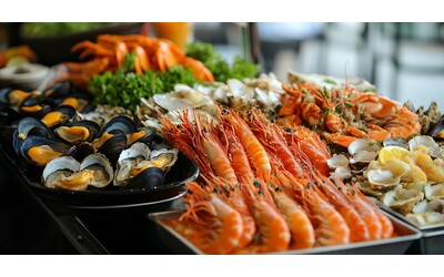 Allarme epatite A in Campania 133 casi confermati Il Comune di Napoli vieta il consumo di frutti di mare crudi nei locali pubblici