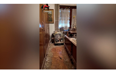 Animali al buio negli escrementi e senza acqua appartamento dell orrore a Torino con pappagalli cani e gatti Video