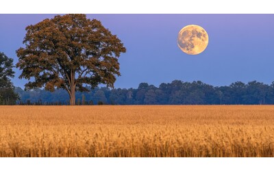 Arriva la Luna arancione al tramonto del 10 luglio l incredibile illusione lunare ecco come osservare il raro fenomeno