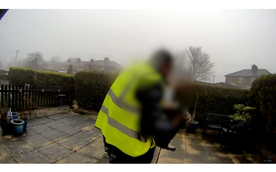 Corriere ruba una gatta domestica dal giardino di una casa la storia che ha commosso lo Yorkshire Video