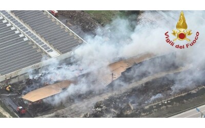 Dopo due anni dall incendio della discarica di Licata i rifiuti bruciati sono ancora l Molti cani e gatti sono morti