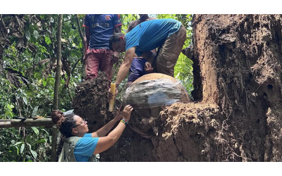 Enormi urne sferiche contenenti resti umani e di tartarughe sono state trovate sepolte in Amazzonia