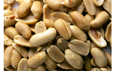 Far mangiare le arachidi ai neonati riduce il rischio di sviluppare l allergia il nuovo studio e il monito dell esperto