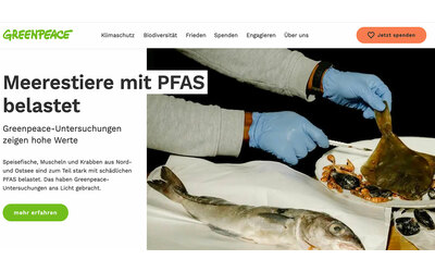 Germania, la denuncia di Greenpeace: “Pfas oltre soglia in pesci e molluschi pescati nel Baltico e nel Mare del Nord”