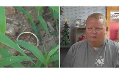 Grazie al mais ho ritrovato la fede nuziale che avevo perso 15 anni fa in una fattoria     l   incredibile storia di Wayne Corpew