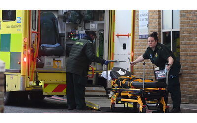 Ho sentito un rumore stridente poi un tonfo Palma di 12 metri cade sul campo da minigolf durante la festa di compleanno del figlio la madre perde il braccio