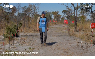 Il principe Harry come la principessa Diana in Angola tra i campi pieni di mine antiuomo per sostenere The Halo Trust Video