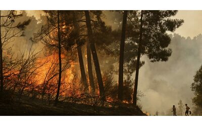 Incendi in Spagna quinta vittima S nchez annuncia patto di Stato sui cambiamenti climatici