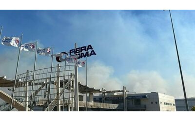 Incendio tra Roma e Fiumicino fumo visibile da diversi quartieri della Capitale