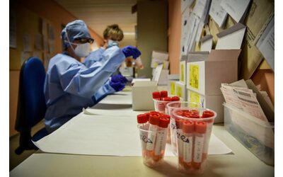 La peste polmonare fa una vittima in Arizona primo caso dal 2007 Come si trasmette