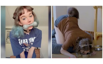 Lei il mio cane e io la amo cos la storia di Lola che vive la sua relazione con il fidanzato comportandosi come un cucciolo