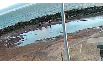 Madre e figlia affondano nella sabbia della laguna salve per un soffio La giornata al mare trasformata in incubo Video