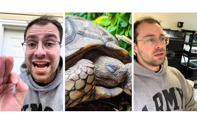 “Non seppellite mai le tartarughe, è un’idea orribile. Ecco perché”: l’allarme dell’esperto è virale su TikTok