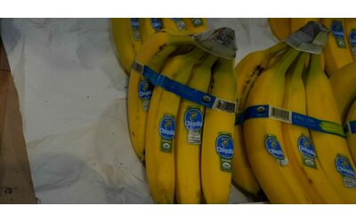 Pagavano paramilitari terroristi in cambio di protezione in Colombia: colosso delle banane Chiquita condannato a pagare 38 milioni