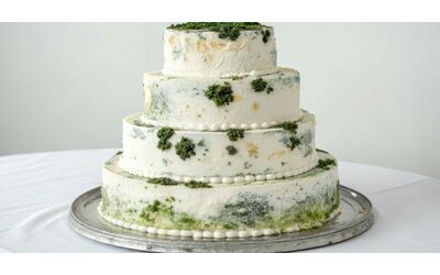 Sono stata a un matrimonio disastroso le mosche sul cibo mi hanno fatta sentire male e quando sono andata al bar ho scoperto di dover pagare l acqua Ma non tutto il racconto su Reddit