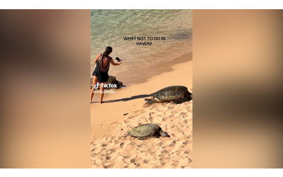 Supera una barriera per fare le foto alle tartarughe marine: bufera social per il gesto di una turista alle Hawaii – Video