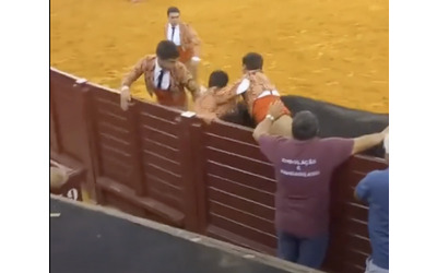 Torero ucciso dal toro durante la corrida uno spettatore si sente male e muore doppio tragico evento