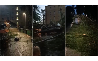 Tromba d’aria a Udine, strade allagate e alberi sradicati: nel video i danni nella zona dell’ospedale