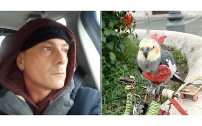 Umiliato e trattato come un mostro non ho mai maltrattato il mio Pippi Pippi Aldo Orabona multato per aver messo la pettorina al pappagallo