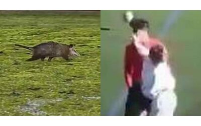 Varietà di invasioni di campo: dall’opossum costaricense alla mamma spagnola che schiaffeggia l’arbitro – Domeniche Bestiali