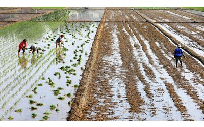 Agricoltura a rischio in Cina nonostante i numeri da record