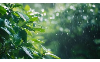 Cambiamenti climatici e piogge estreme cosa sta accadendo sulle vette del Kerala