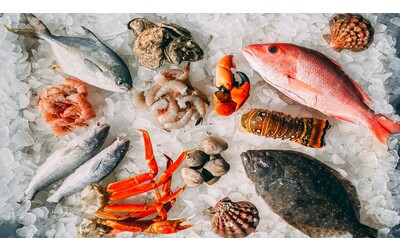 Il cambiamento climatico sta trasformando la sicurezza del pesce tropicale