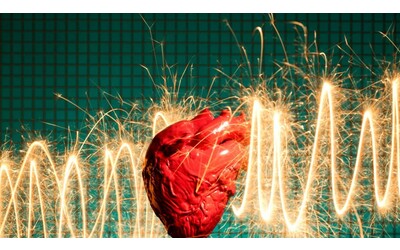 Il cuore pu rigenerarsi dopo un infarto individuato il freno ormonale che lo impedisce