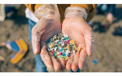 Impatto della plastica sulla salute un nuovo rapporto svela cifre impressionanti