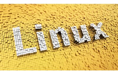 Linux supera il 5 di a negli Stati Uniti il declino di Windows spinge l open source