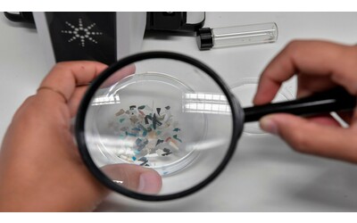 Microplastiche e cuore uno studio rivela un rischio nascosto soprattutto per gli uomini