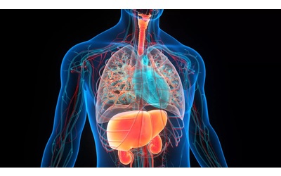 Un semplice test rivela quali organi stanno invecchiando in fretta