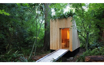 Il wc che funziona senza acqua grazie ai funghi