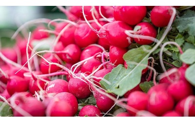 Le nanoplastiche possono accumularsi nelle parti commestibili di alcuni ortaggi