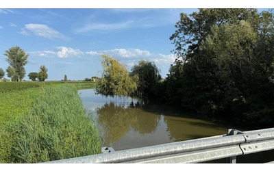 Pfas e altri contaminanti nei pesci selvatici: l’allarme dell’Ue