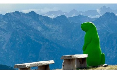 Polemica per le marmotte di plastica in montagna Il Cai Un simbolo per riflettere