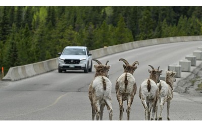 Stiamo cambiando gli equilibri della natura