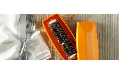 Bastano 2 per questa GENIALATA e addio briciole solo su Amazon 75