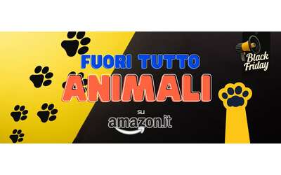 Black Friday a quattro zampe 10 offerte a prezzaccio su Amazon