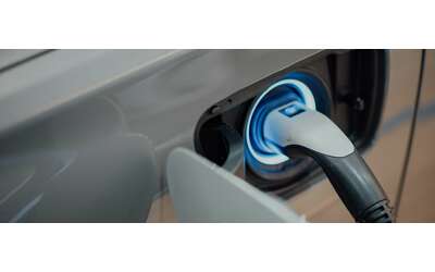 Energia green senza sorprese scopri le offerte Octopus a prezzo bloccato