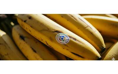 Nano Banana non solo Gemini l editor AI sbarca sulle altre app Google