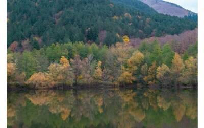 Foreste e verde urbano in Italia 3 milioni di nuovi alberi nel 2024
