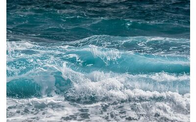 Microplastiche  in Brasile  sono  inquinate anche le aree marine protette