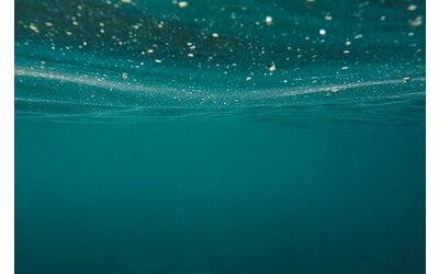 Cattura CO2  negli   oceani   un aiuto dalle fogne