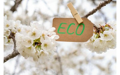 Green Claims l Europa fa dietrofront Cosa succede alla direttiva anti greenwashing